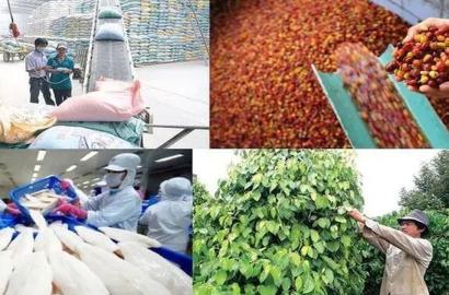Bứt Phá Kim Ngạch Xuất Khẩu Nông Lâm Thủy Sản Đến 100 Tỷ USD: Tác Động Và Cơ Hội Cho Thị Trường Bất Động Sản Việt Nam