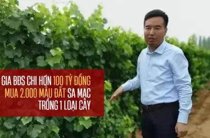 Chiến Lược Đầu Tư Đột Phá: Biến Sa Mạc Gobi Thành Vùng Đất Vàng Bất Động Sản Nông Nghiệp Cao Cấp
