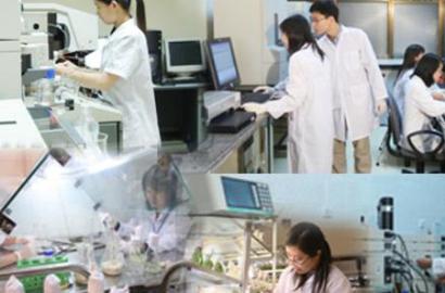 Chính sách mới và xu hướng phát triển nhân lực công nghệ: Tác động đến thị trường bất động sản và đầu tư tài sản tại Việt Nam 2026