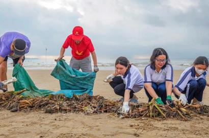 Chương Trình Hành Động Bảo Vệ Môi Trường 2026-2030: Tác Động Đến Thị Trường Bất Động Sản Và Đầu Tư Bền Vững