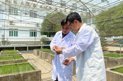 Chuyển Đổi Khoa Học Công Nghệ Trong Nông Nghiệp: Đòn Bẩy Mới Cho Thị Trường Bất Động Sản Nông Thôn Và Đô Thị Vùng Ven