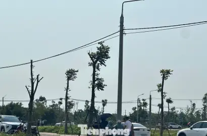 Cơn sốt đất nông thôn vùng quê Hà Tĩnh: Thực trạng và triển vọng đầu tư