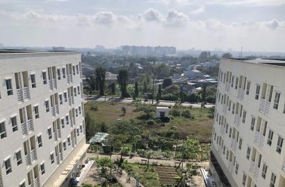 Đà Nẵng đẩy mạnh phát triển nhà ở xã hội với 'luồng xanh' và ưu tiên thủ tục hành chính