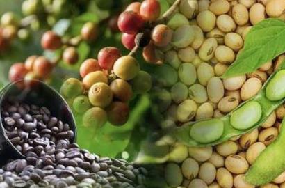 Diễn biến thị trường hàng hóa và tác động đến chiến lược đầu tư bất động sản năm 2026