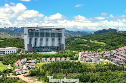 FLC Hạ Long Thua Kiện: Bài Học Về Rủi Ro Trong Kinh Doanh Bất Động Sản Nghỉ Dưỡng