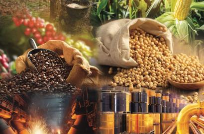 Giá Dầu và Kim Loại Quý Tăng Mạnh: Tác Động Đến Thị Trường Bất Động Sản và Đầu Tư Tài Sản Việt Nam Năm 2026