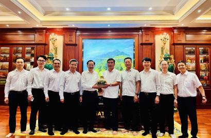 Hợp tác Vinachem - Hateco thúc đẩy phát triển hạ tầng cảng Liên Chiểu và tác động đến thị trường bất động sản miền Trung