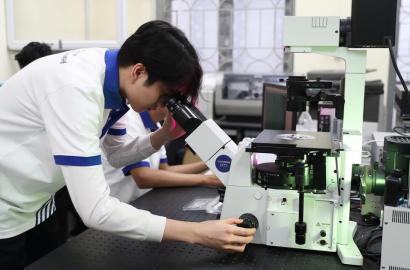 Nghị định 179 và Chiến lược Đào tạo Nhân lực Khoa học Công nghệ: Tác Động Đến Thị Trường Bất Động Sản Giáo Dục và Hạ Tầng Đô Thị