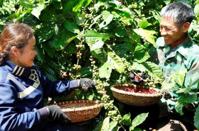 Nông nghiệp tái sinh và tác động tích cực đến thị trường bất động sản nông thôn Việt Nam