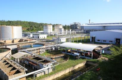 Phát Triển Hệ Sinh Thái Ethanol: Cơ Hội và Thách Thức Cho Thị Trường Bất Động Sản Công Nghiệp Việt Nam