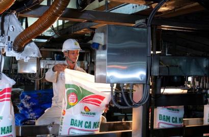 PVCFC Định Hướng Phát Triển Đến 2050: Cơ Hội Mở Rộng Chuỗi Giá Trị Nông Nghiệp và Hạ Tầng Kinh Tế Việt Nam