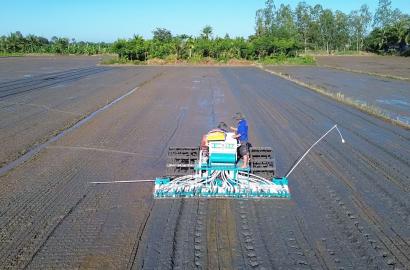 Quản lý dinh dưỡng chính xác: Giải pháp bền vững cho canh tác lúa và tác động đến thị trường bất động sản nông nghiệp ĐBSCL