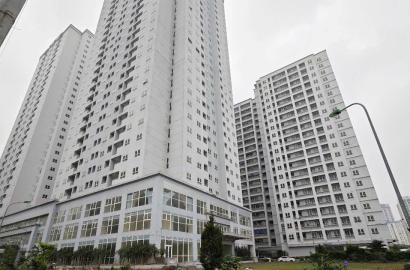 Quy định mới về cho thuê nhà ở xã hội: Cơ chế pháp lý và tác động đến thị trường bất động sản