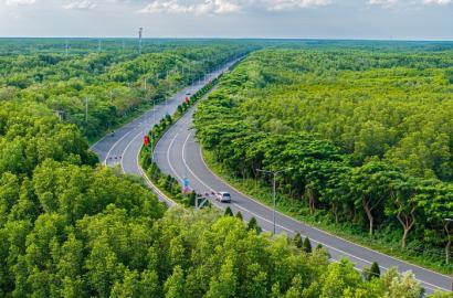 Tầm Nhìn 100 Năm Quy Hoạch Siêu Đô Thị Đa Trung Tâm TP.HCM: Cơ Hội và Thách Thức Cho Thị Trường Bất Động Sản Cao Cấp