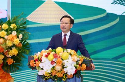 Vinachem Định Hình Chuyển Đổi Số và Xanh Trong Ngành Hóa Chất: Tác Động Đến Thị Trường Bất Động Sản và Đầu Tư Việt Nam 2026