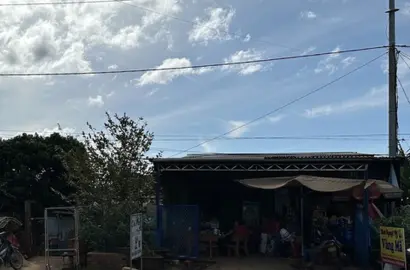 Vụ Cụ Bà 82 Tuổi Khởi Kiện Chủ Tịch Xã Gia Lai: Bài Học Về Quyền Sử Dụng Đất và Thách Thức Pháp Lý