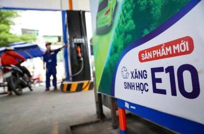 Xăng E10 và tác động đến thị trường bất động sản cùng xu hướng phát triển bền vững tại Việt Nam