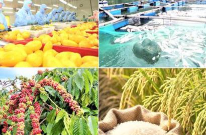 Xuất Khẩu Nông Lâm Thủy Sản Vượt Mốc 74 Tỷ USD: Tác Động Đến Thị Trường Bất Động Sản Và Đầu Tư Việt Nam 2026