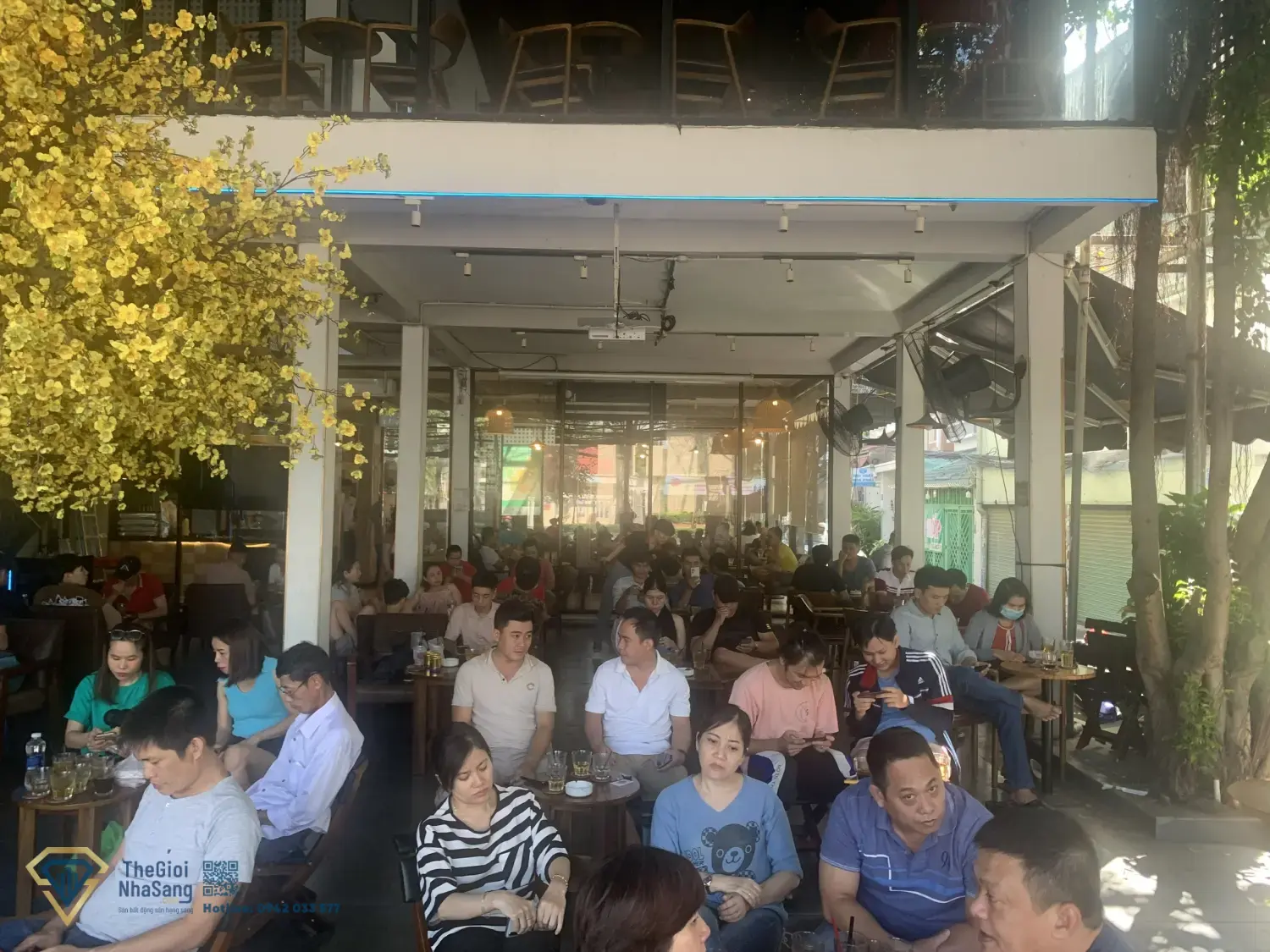 Cơ hội đầu tư F&B thông minh: Tiếp quản quán cafe sân vườn 160 Lê Văn Thọ, Gò Vấp